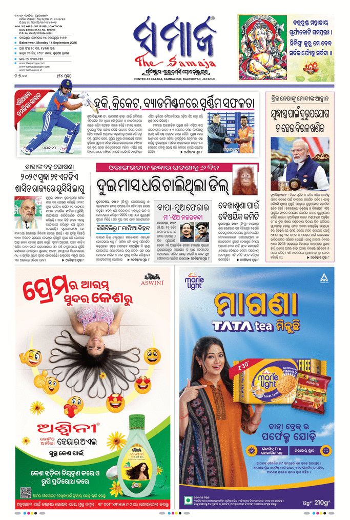 paper-img
