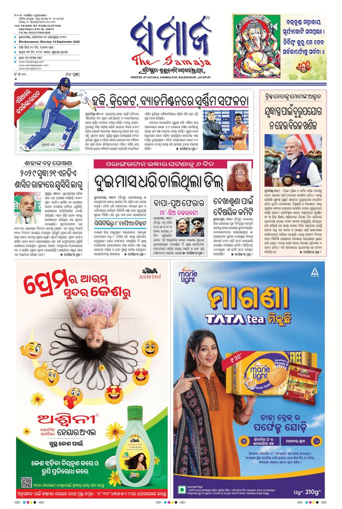 paper-img