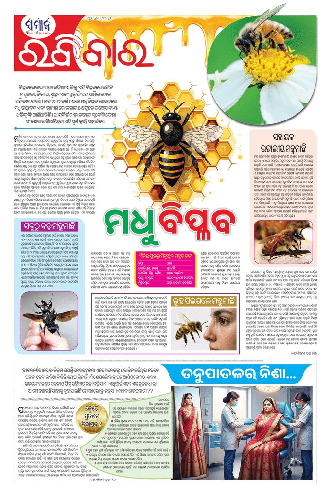 paper-img